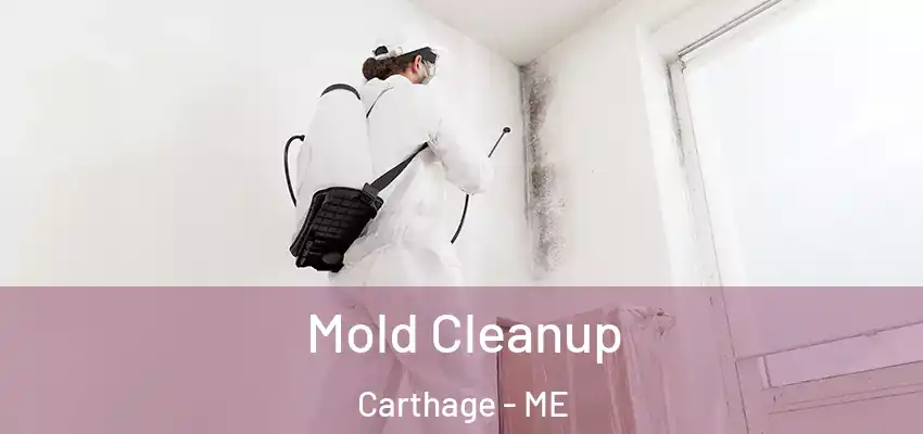  Mold Cleanup Carthage - ME