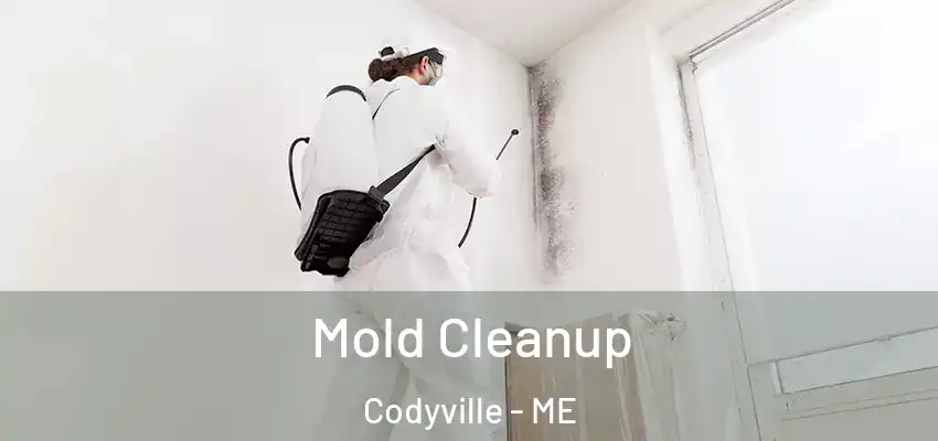  Mold Cleanup Codyville - ME