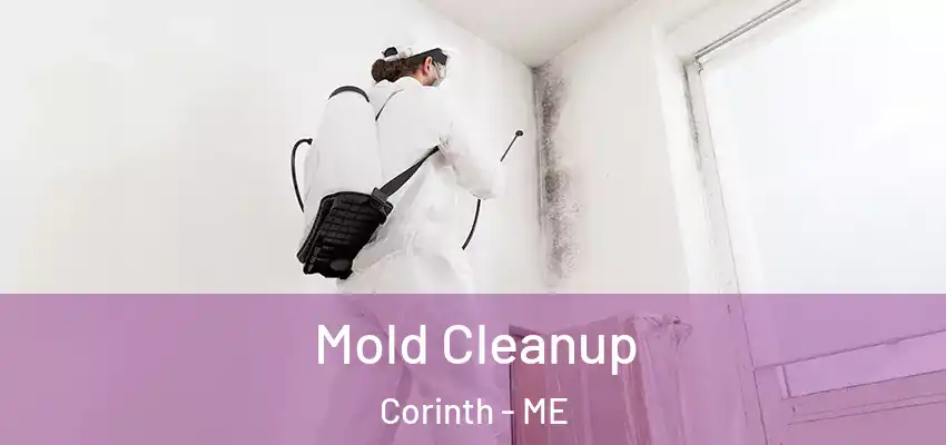  Mold Cleanup Corinth - ME