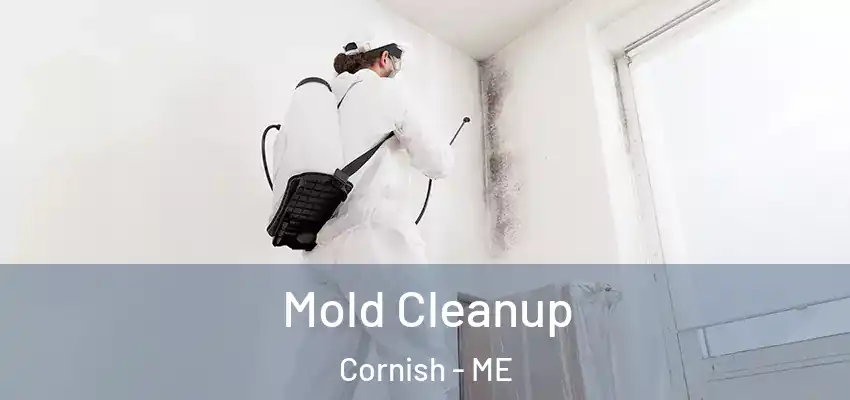  Mold Cleanup Cornish - ME