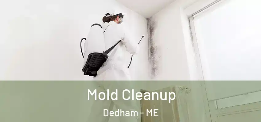 Mold Cleanup Dedham - ME