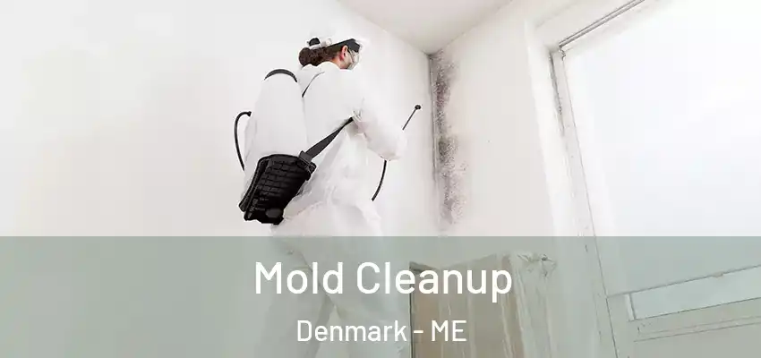  Mold Cleanup Denmark - ME