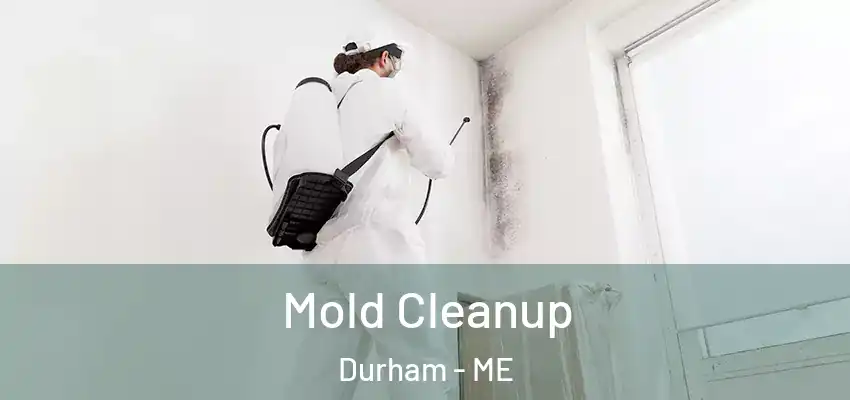  Mold Cleanup Durham - ME