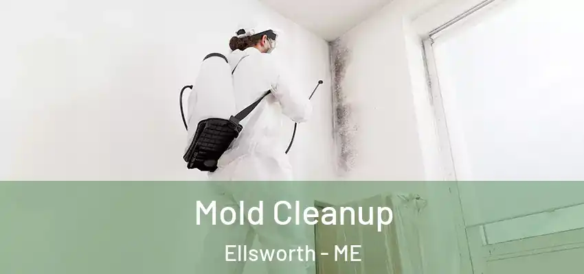  Mold Cleanup Ellsworth - ME