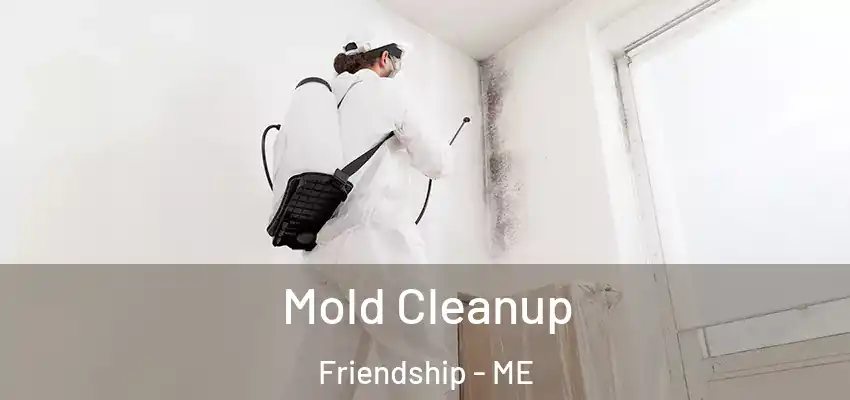 Mold Cleanup Friendship - ME