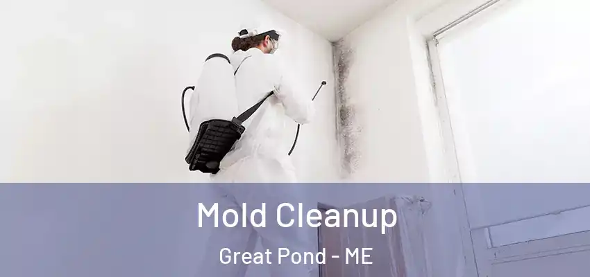  Mold Cleanup Great Pond - ME