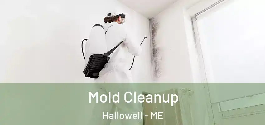  Mold Cleanup Hallowell - ME