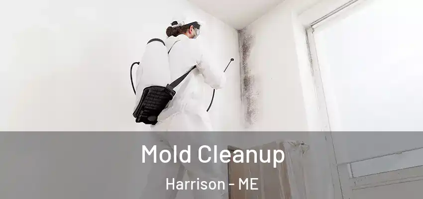  Mold Cleanup Harrison - ME