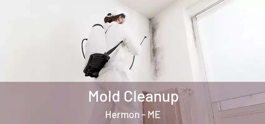  Mold Cleanup Hermon - ME