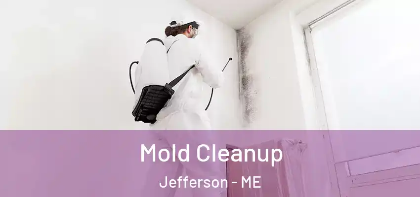  Mold Cleanup Jefferson - ME