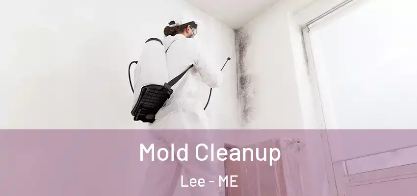  Mold Cleanup Lee - ME