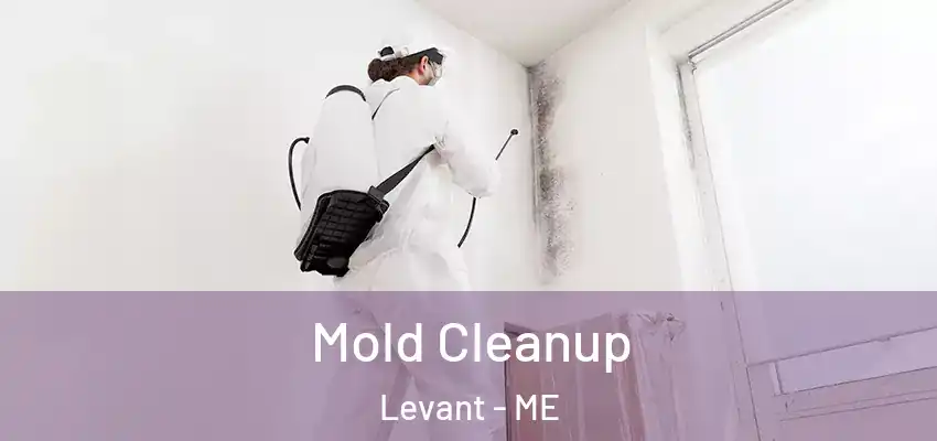  Mold Cleanup Levant - ME
