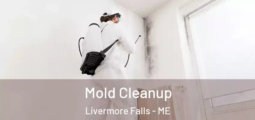  Mold Cleanup Livermore Falls - ME