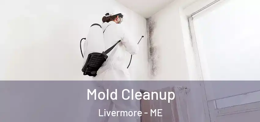  Mold Cleanup Livermore - ME