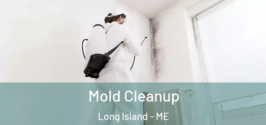  Mold Cleanup Long Island - ME