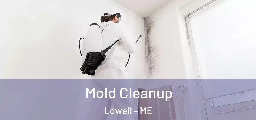  Mold Cleanup Lowell - ME