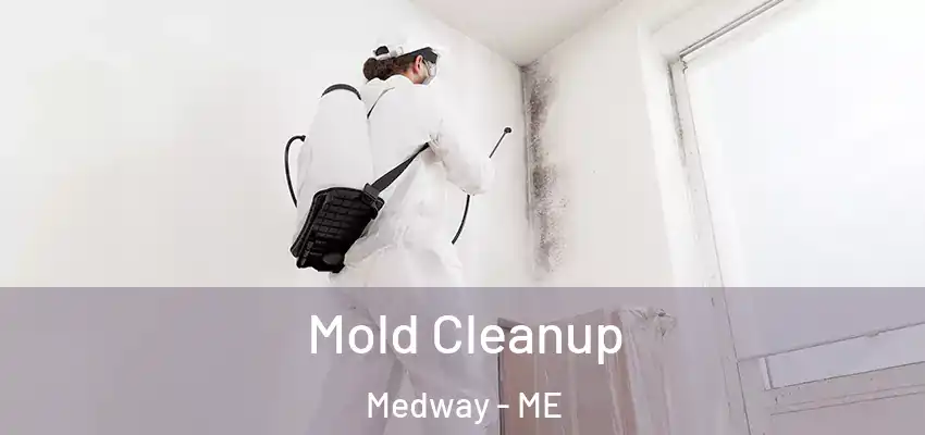  Mold Cleanup Medway - ME