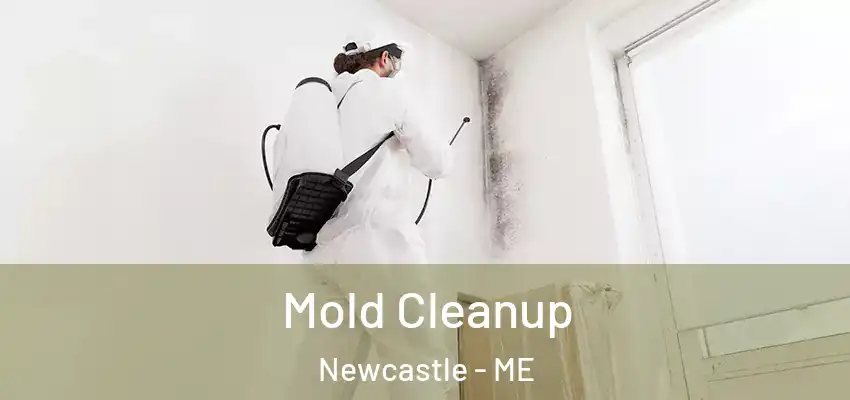 Mold Cleanup Newcastle - ME