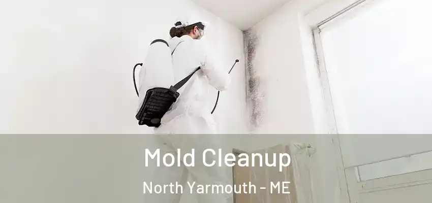  Mold Cleanup North Yarmouth - ME