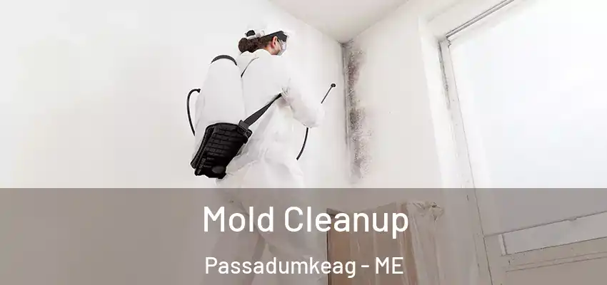  Mold Cleanup Passadumkeag - ME