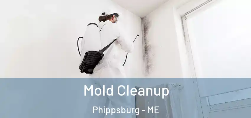  Mold Cleanup Phippsburg - ME