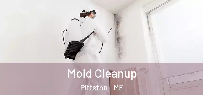  Mold Cleanup Pittston - ME