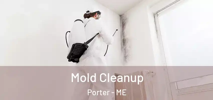  Mold Cleanup Porter - ME