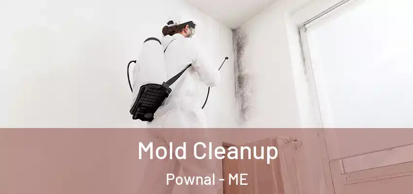 Mold Cleanup Pownal - ME
