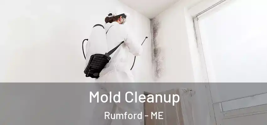  Mold Cleanup Rumford - ME