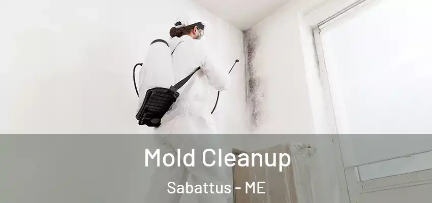  Mold Cleanup Sabattus - ME