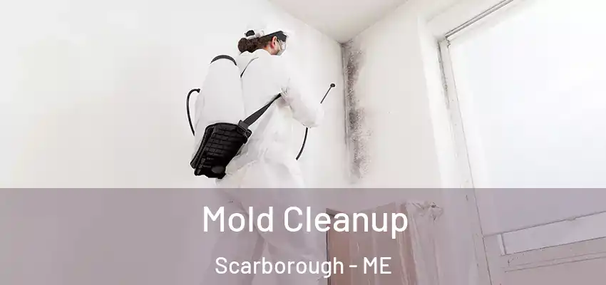  Mold Cleanup Scarborough - ME