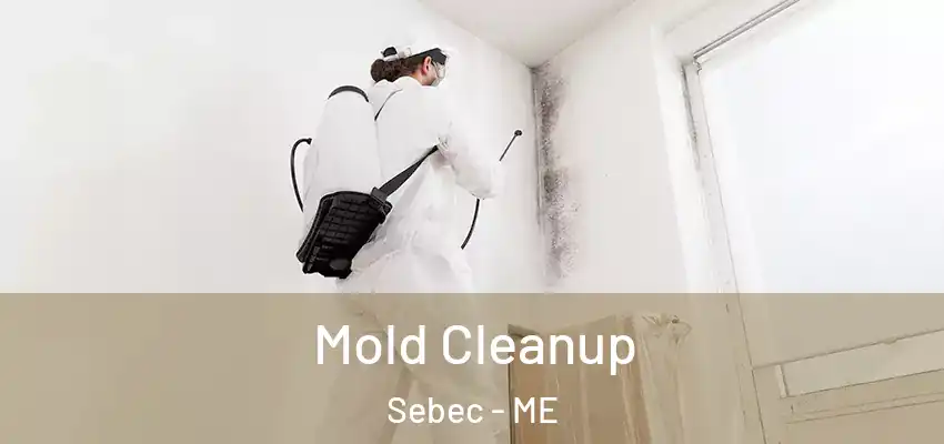  Mold Cleanup Sebec - ME