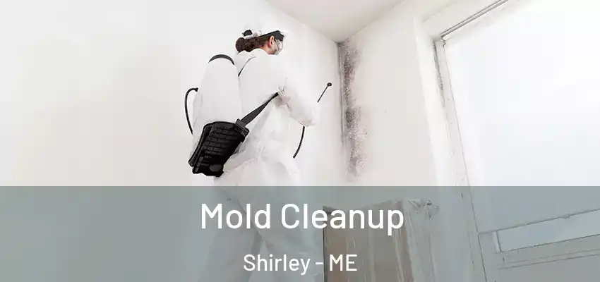  Mold Cleanup Shirley - ME