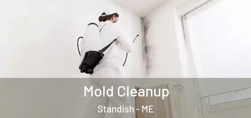  Mold Cleanup Standish - ME