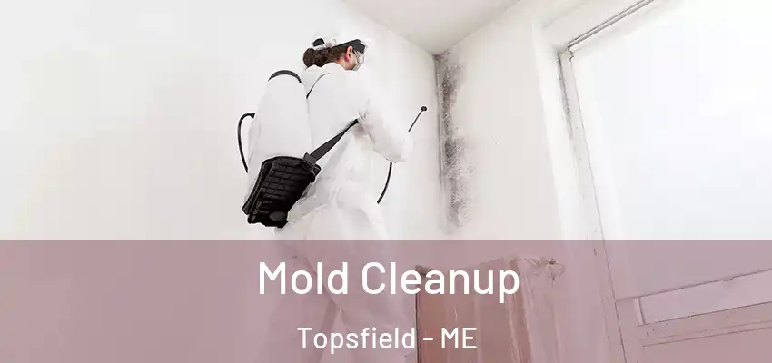  Mold Cleanup Topsfield - ME