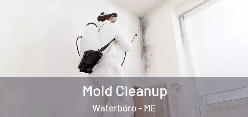  Mold Cleanup Waterboro - ME