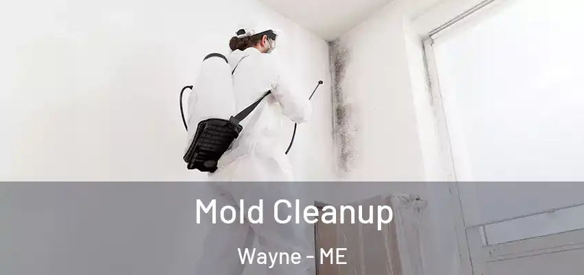  Mold Cleanup Wayne - ME