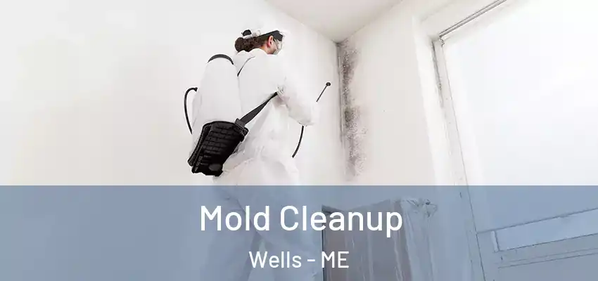  Mold Cleanup Wells - ME