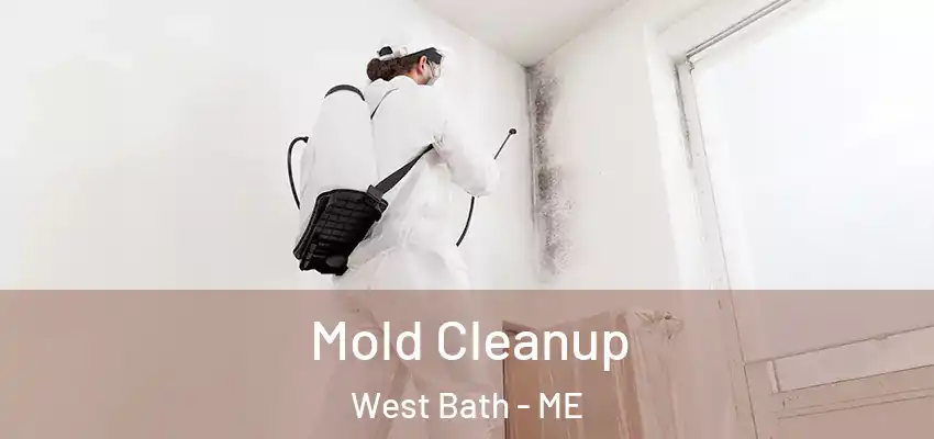  Mold Cleanup West Bath - ME