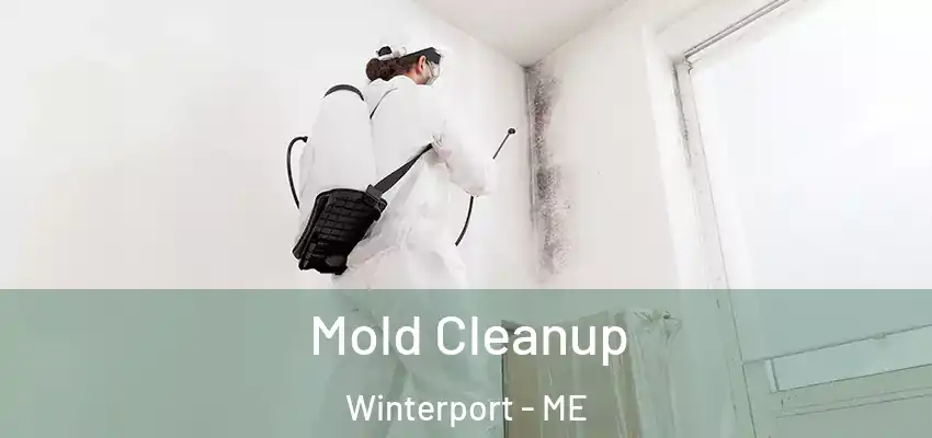  Mold Cleanup Winterport - ME