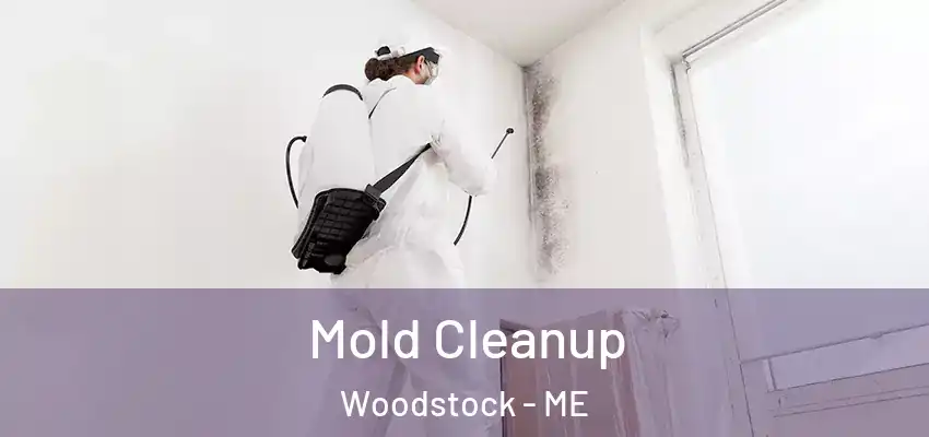  Mold Cleanup Woodstock - ME