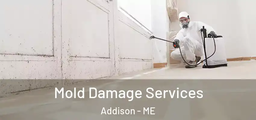  Mold Damage Services Addison - ME