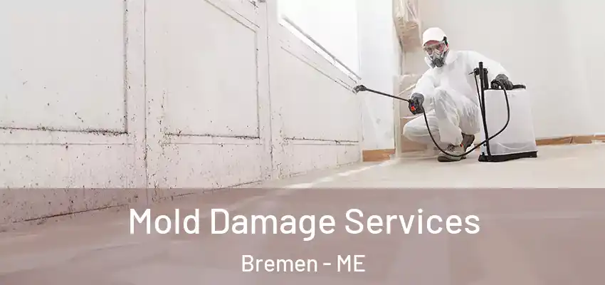  Mold Damage Services Bremen - ME