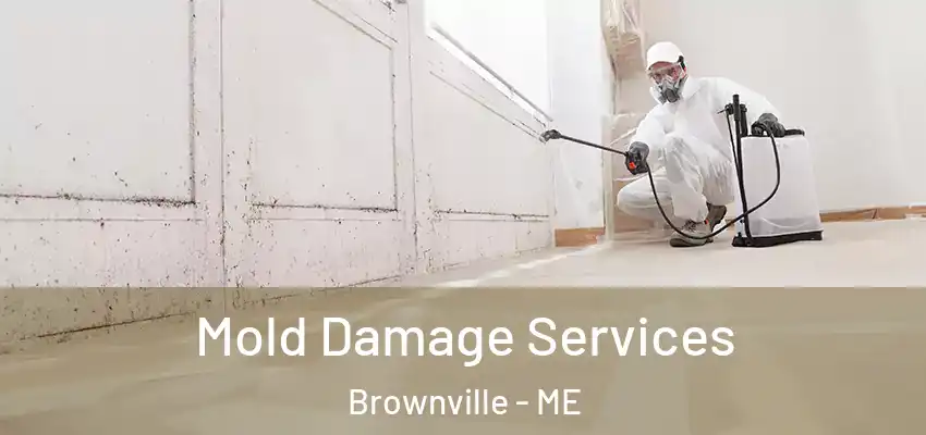  Mold Damage Services Brownville - ME