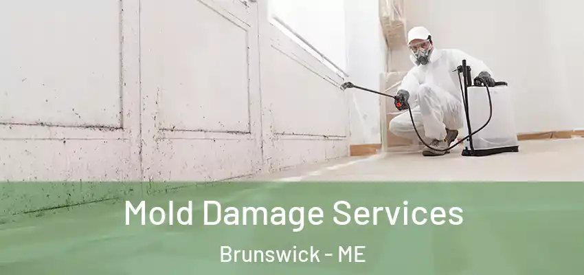  Mold Damage Services Brunswick - ME