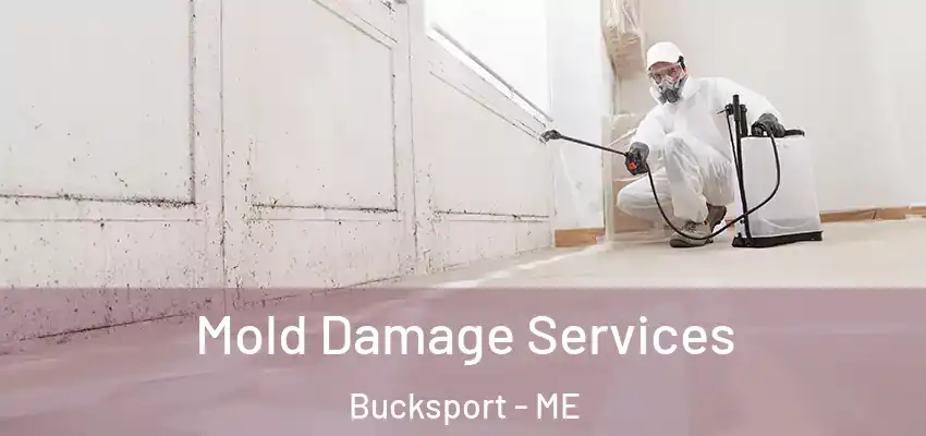  Mold Damage Services Bucksport - ME