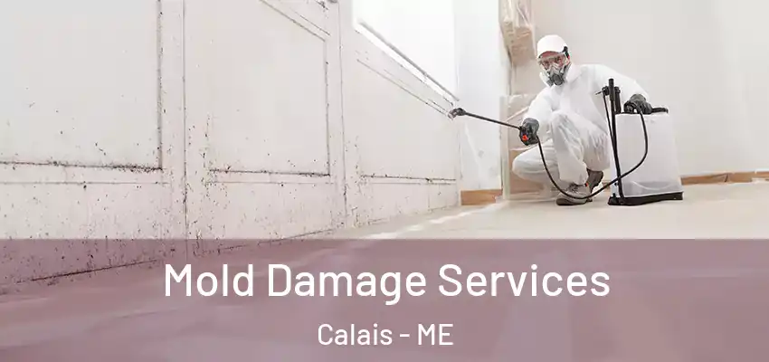  Mold Damage Services Calais - ME
