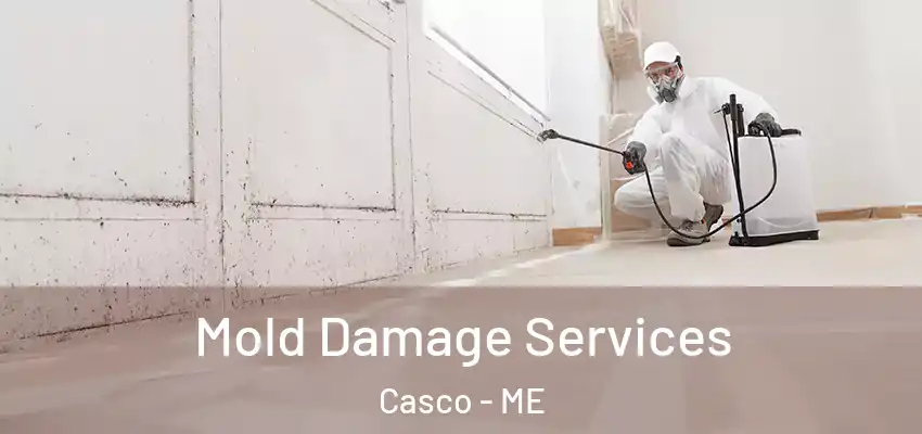  Mold Damage Services Casco - ME