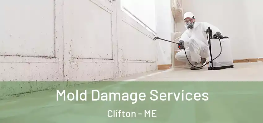  Mold Damage Services Clifton - ME