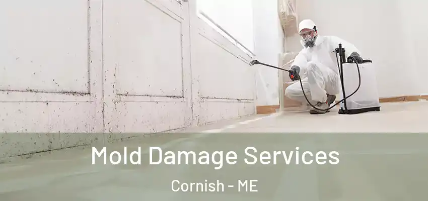  Mold Damage Services Cornish - ME